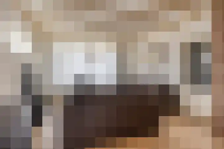 Prins Willem-Alexanderstraat 44 Hedel thumbnail 9