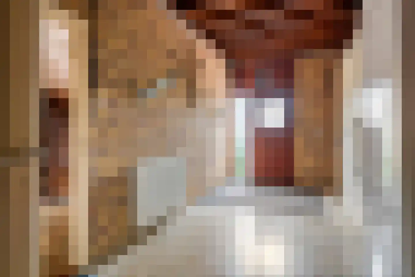 Prins Willem-Alexanderstraat 46 Deil thumbnail 26
