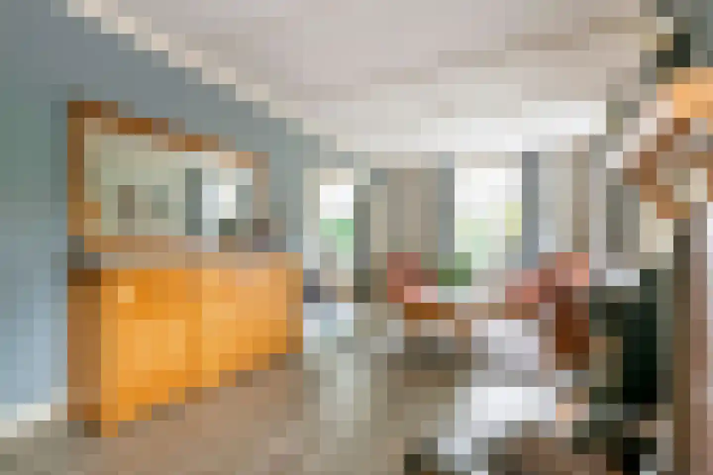Prins Willem-Alexanderstraat 46 Deil thumbnail 7