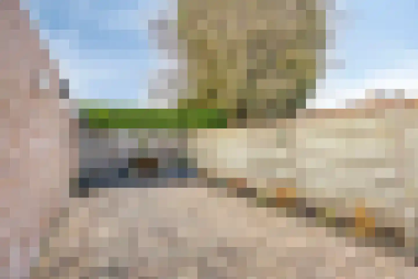 Prins Willem-Alexanderstraat 5 Hedel thumbnail 12