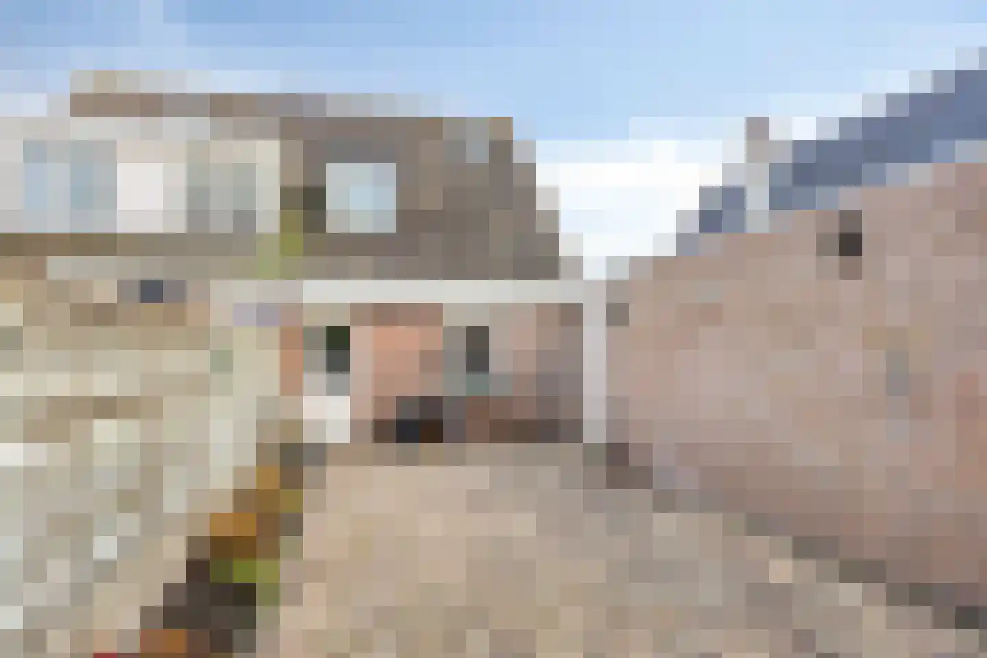 Prins Willem-Alexanderstraat 5 Hedel thumbnail 13