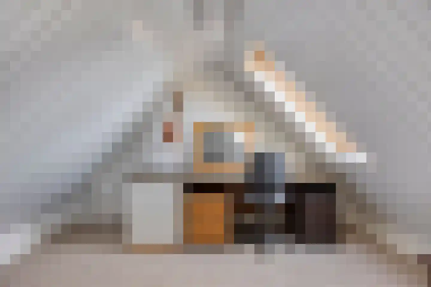 Prins Willem-Alexanderstraat 5 Hedel thumbnail 21