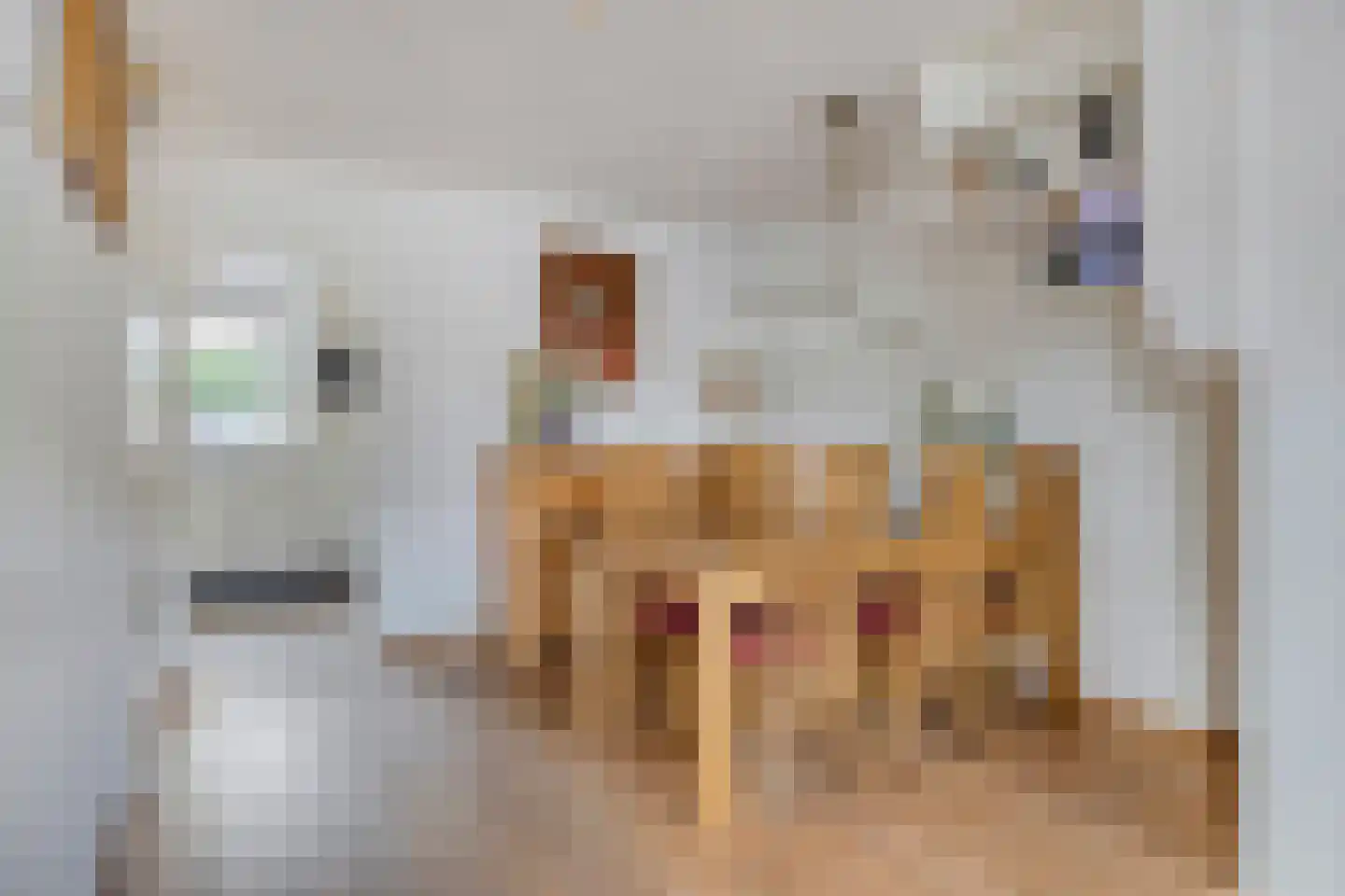 Prins Willem-Alexanderstraat 5 Hedel thumbnail 6