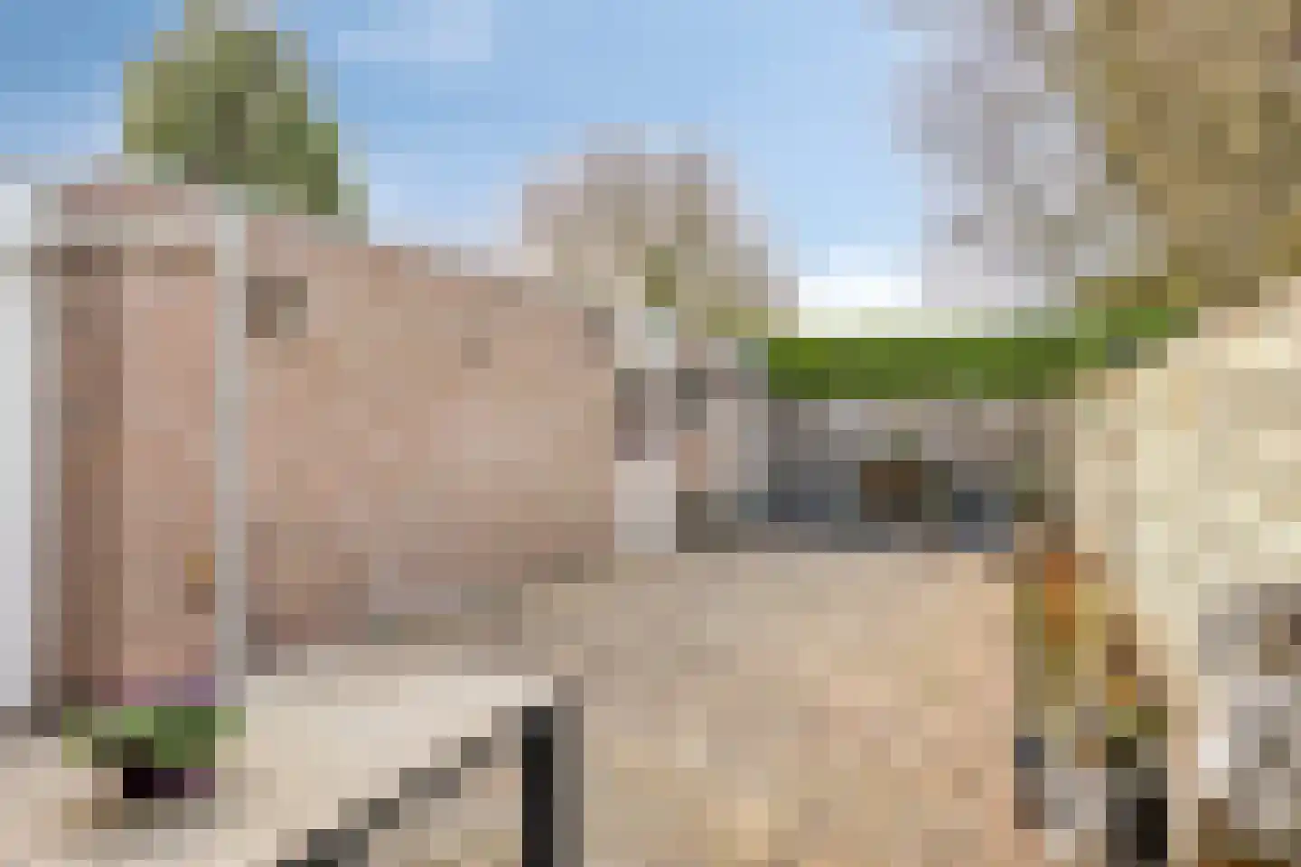 Prins Willem-Alexanderstraat 5 Hedel thumbnail 9