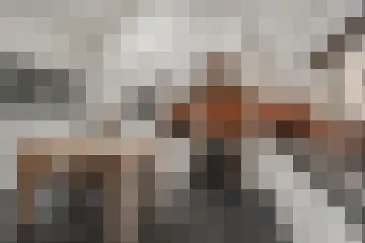 Prins Willem-Alexanderstraat 52 Hedel thumbnail 13