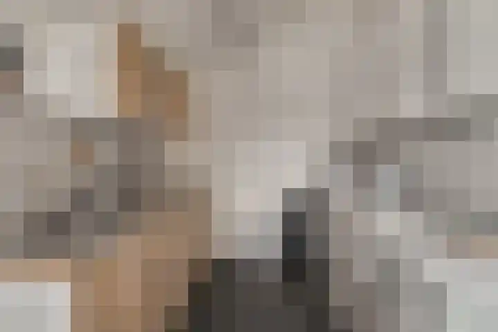 Prins Willem-Alexanderstraat 52 Hedel thumbnail 18