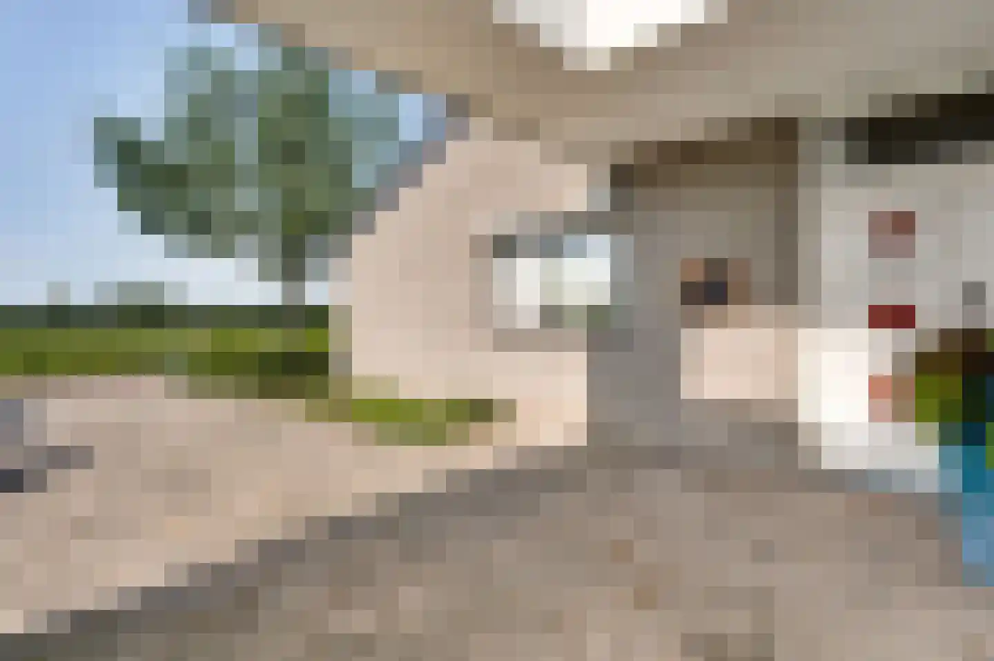 Prins Willem Alexanderstraat 55 Grathem thumbnail 44