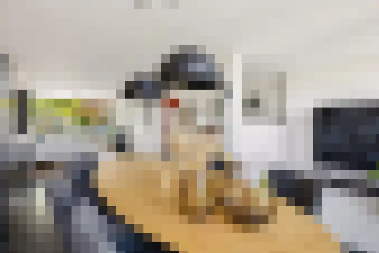 Prins Willem-Alexanderweg 12 Houten thumbnail 12