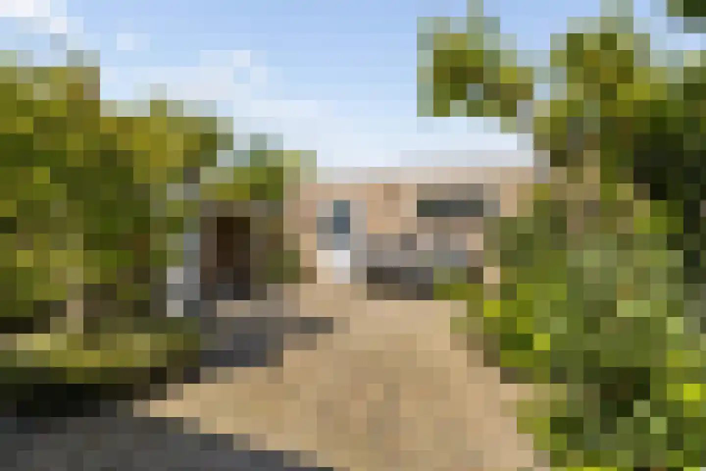 Prins Willem-Alexanderweg 12 Houten thumbnail 31