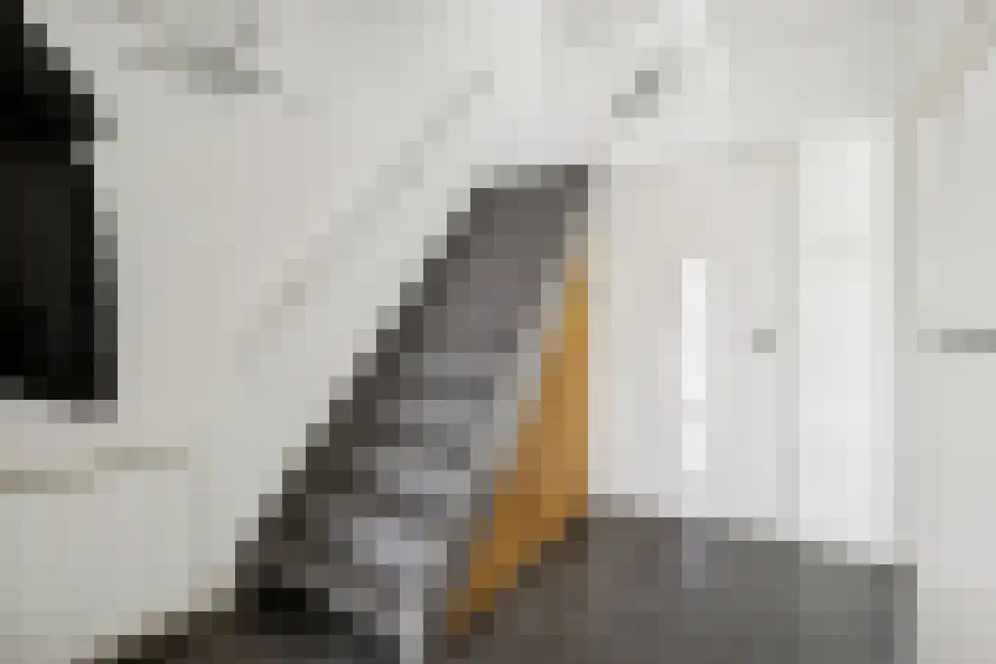 Prins Willem-Alexanderweg 12 Houten thumbnail 7