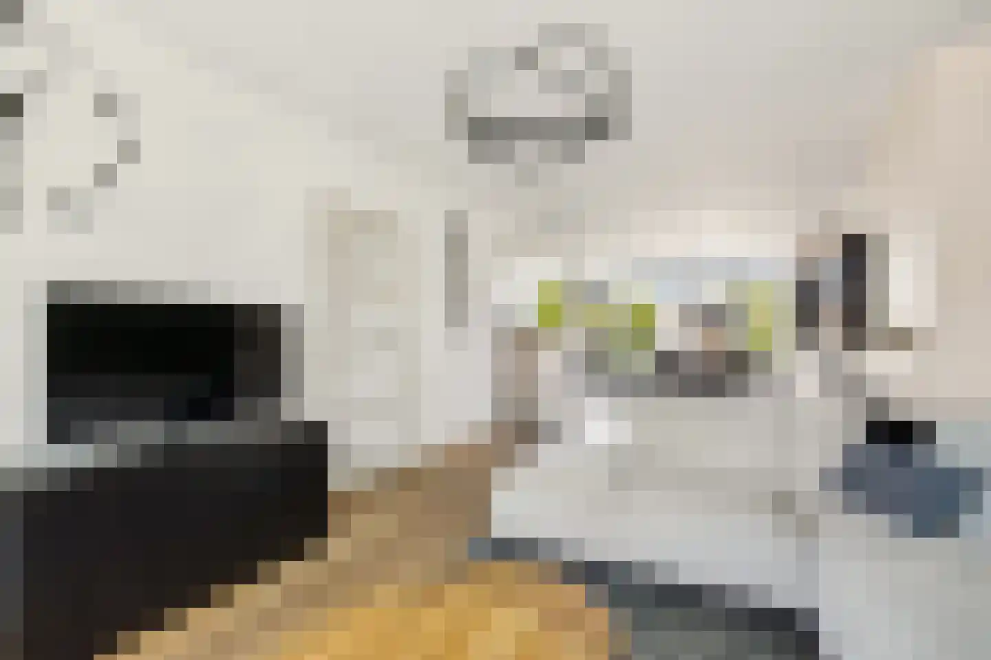 Prins Willem-Alexanderweg 12 Houten thumbnail 8