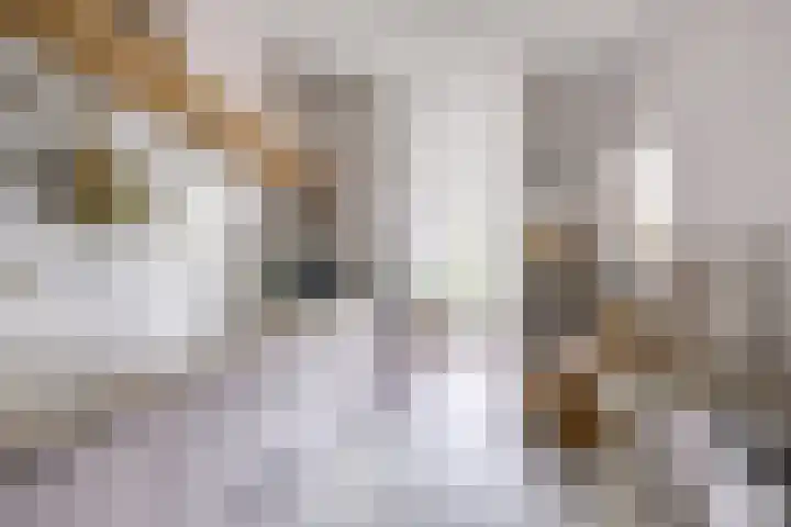 Prins Willem-Alexanderweg 20 Houten thumbnail 12