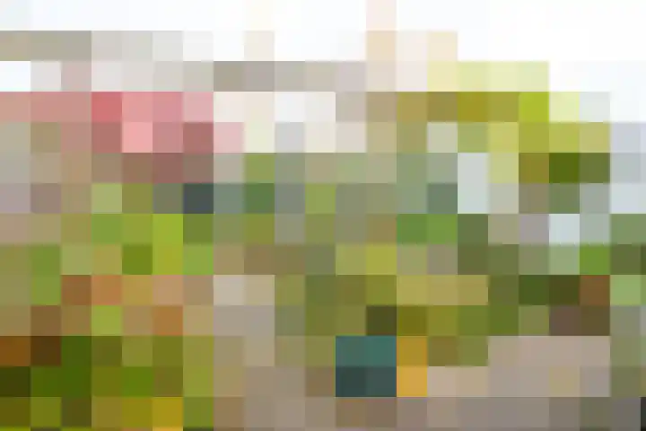 Prins Willem-Alexanderweg 20 Houten thumbnail 14