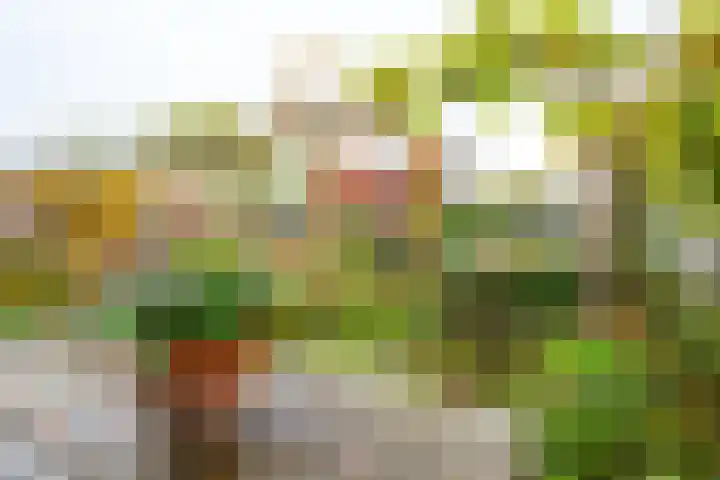 Prins Willem-Alexanderweg 20 Houten thumbnail 15