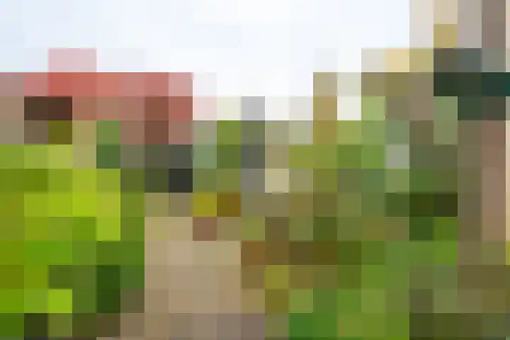 Prins Willem-Alexanderweg 20 Houten thumbnail 16