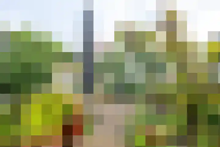 Prins Willem-Alexanderweg 20 Houten thumbnail 17