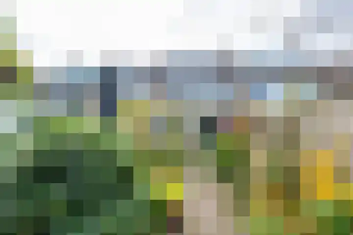 Prins Willem-Alexanderweg 20 Houten thumbnail 18