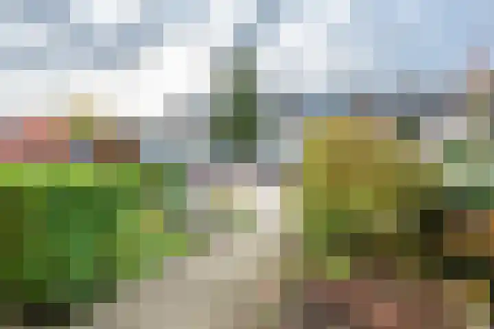Prins Willem-Alexanderweg 20 Houten thumbnail 38