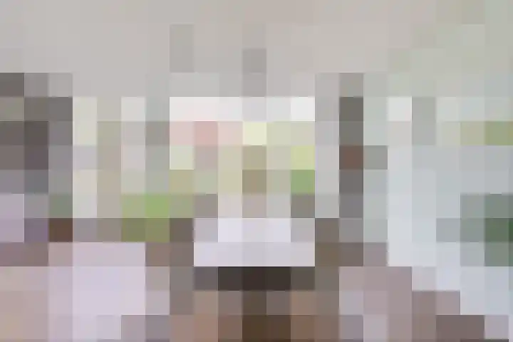 Prins Willem-Alexanderweg 20 Houten thumbnail 8