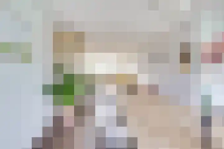 Prins Willem-Alexanderweg 20 Houten thumbnail 9