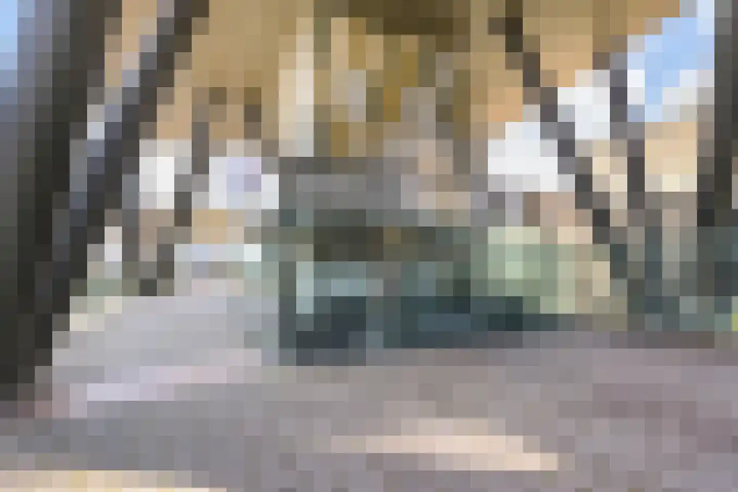Prins Willem-Alexanderweg 335 Den Haag thumbnail 6