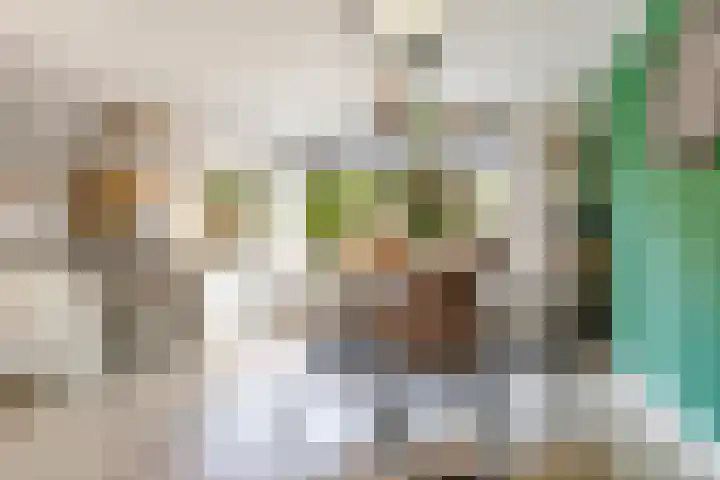 Prins Willem-Alexanderweg 40 Houten thumbnail 15