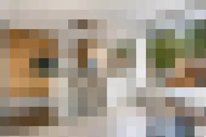 Prins Willem-Alexanderweg 40 Houten thumbnail 16