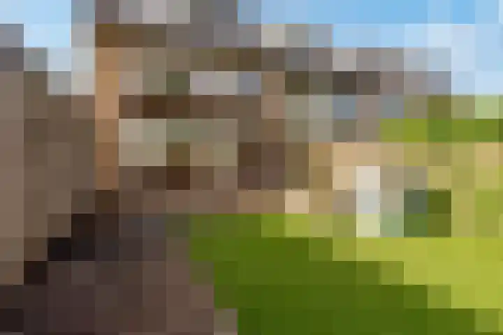 Prins Willem-Alexanderweg 40 Houten thumbnail 41