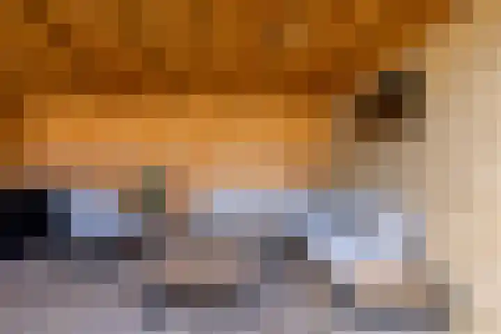 Prins Willem-Alexanderweg 40 Houten thumbnail 45