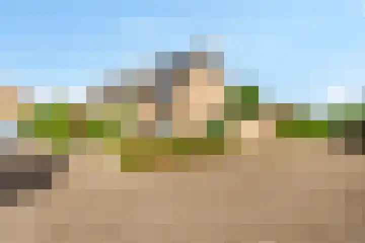 Prins Willem-Alexanderweg 40 Houten thumbnail 5