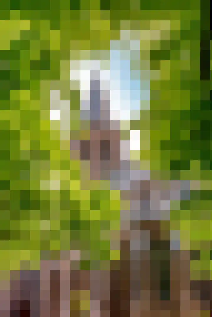 Prins Willem-Alexanderweg 40 Houten thumbnail 52