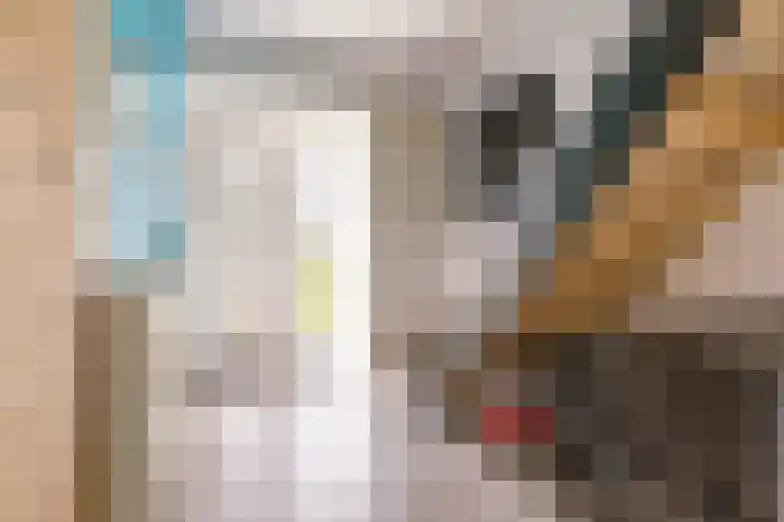 Prins Willem-Alexanderweg 40 Houten thumbnail 7