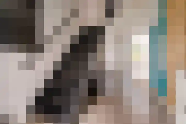 Prins Willem-Alexanderweg 40 Houten thumbnail 9