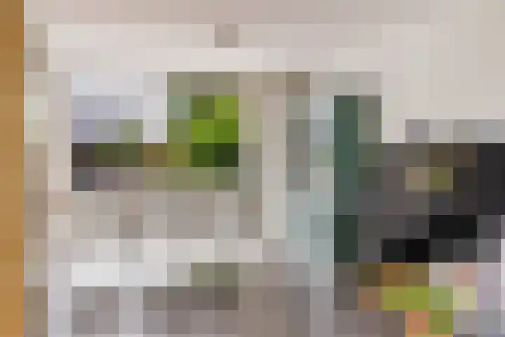 Prins Willem-Alexanderweg 44 Houten thumbnail 13
