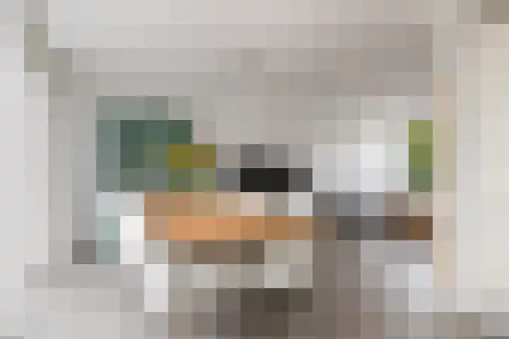 Prins Willem-Alexanderweg 44 Houten thumbnail 18