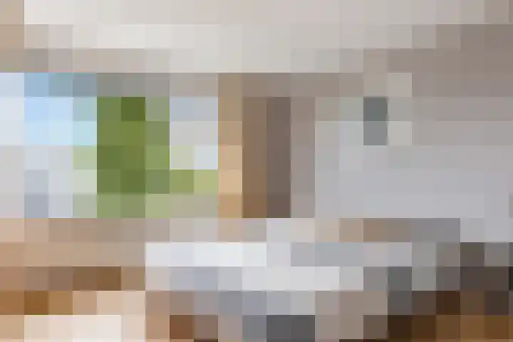 Prins Willem-Alexanderweg 44 Houten thumbnail 23