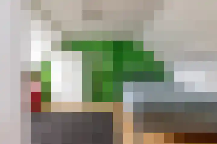 Prins Willem-Alexanderweg 44 Houten thumbnail 38