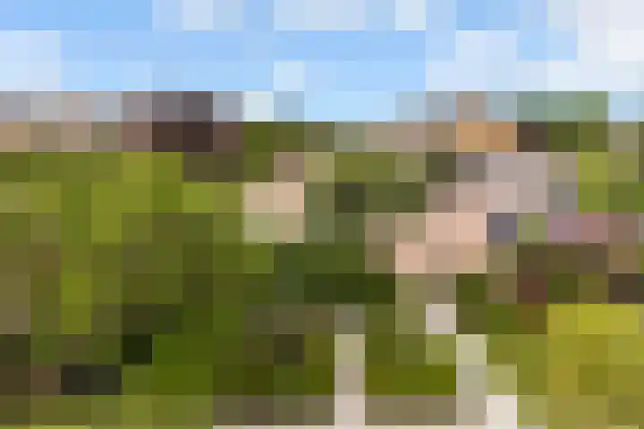 Prins Willem-Alexanderweg 44 Houten thumbnail 41