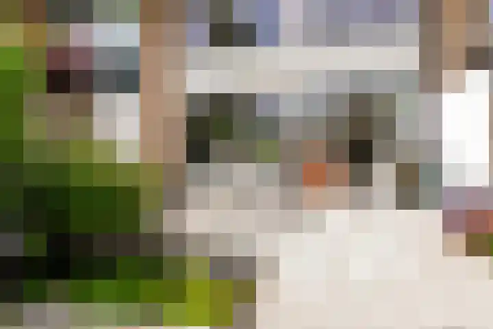 Prins Willem-Alexanderweg 44 Houten thumbnail 45