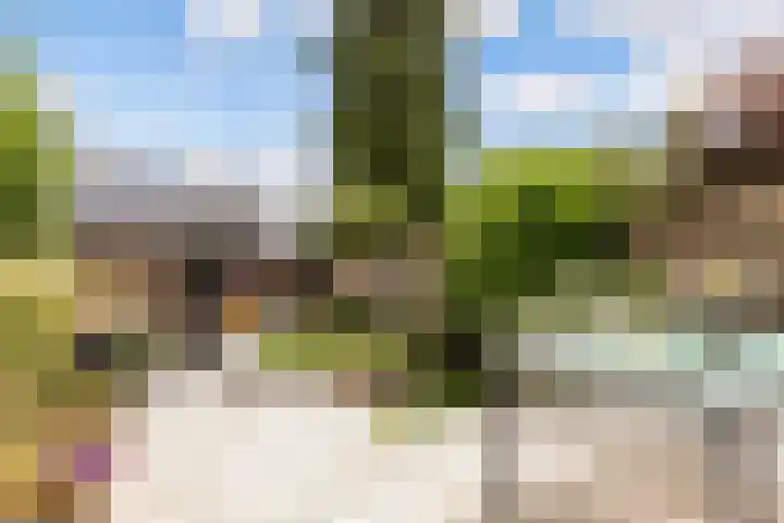 Prins Willem-Alexanderweg 44 Houten thumbnail 46
