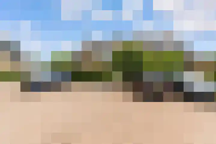 Prins Willem-Alexanderweg 44 Houten thumbnail 50