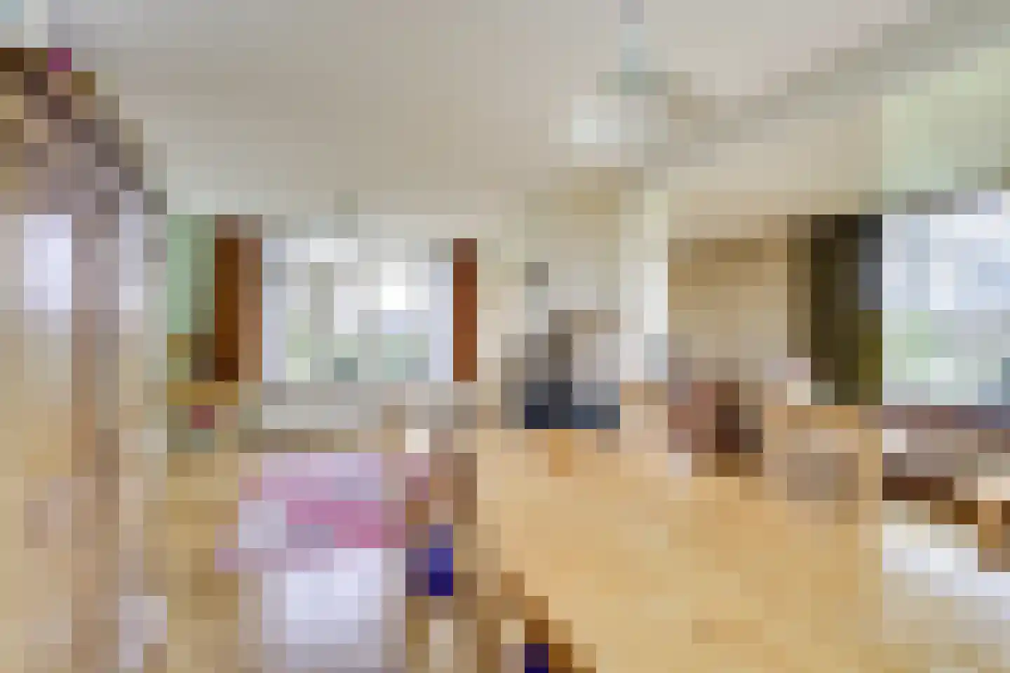 Prins Willem de Zwijgerlaan 2 Houten thumbnail 10