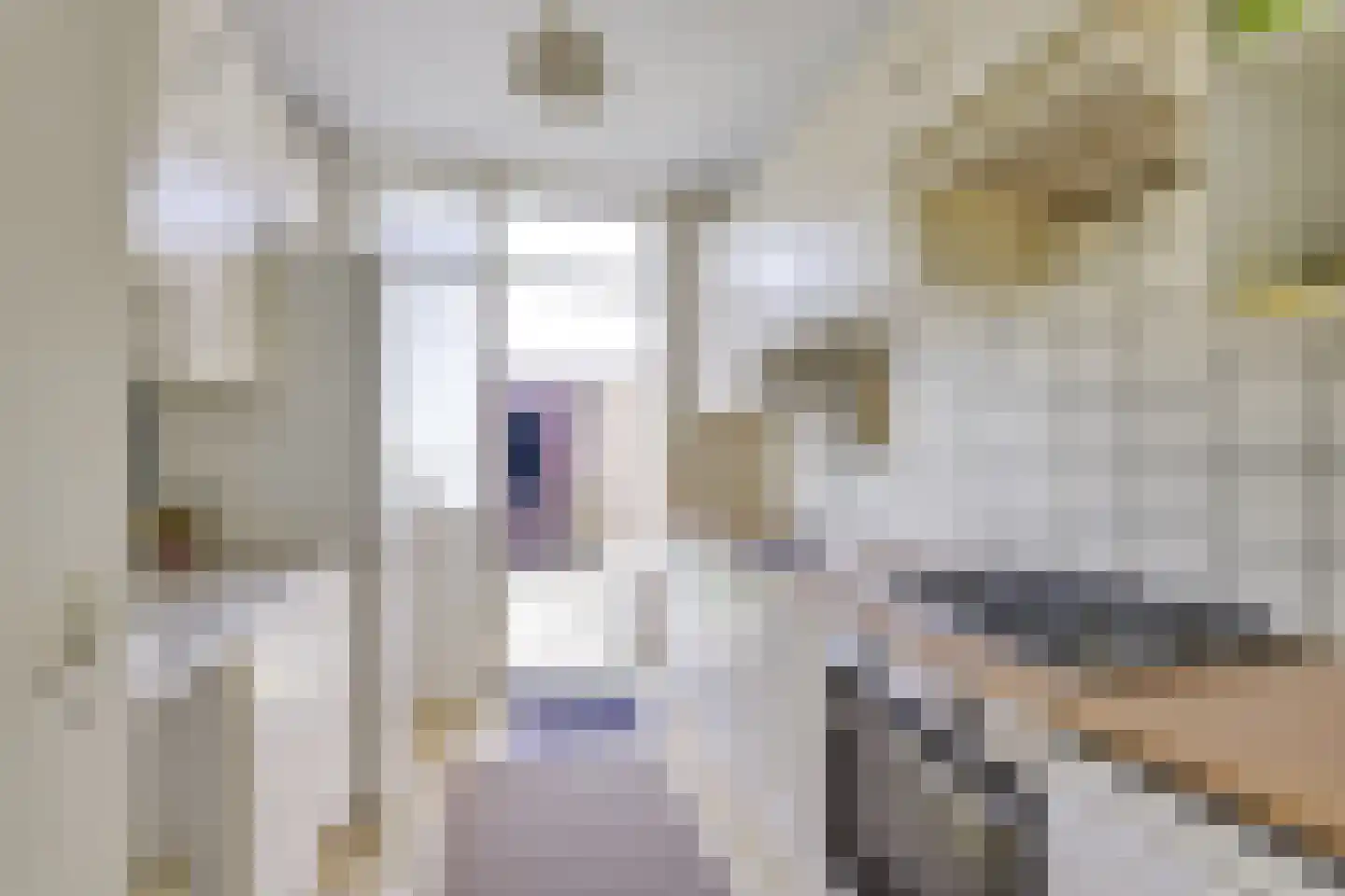 Prins Willem de Zwijgerlaan 2 Houten thumbnail 13