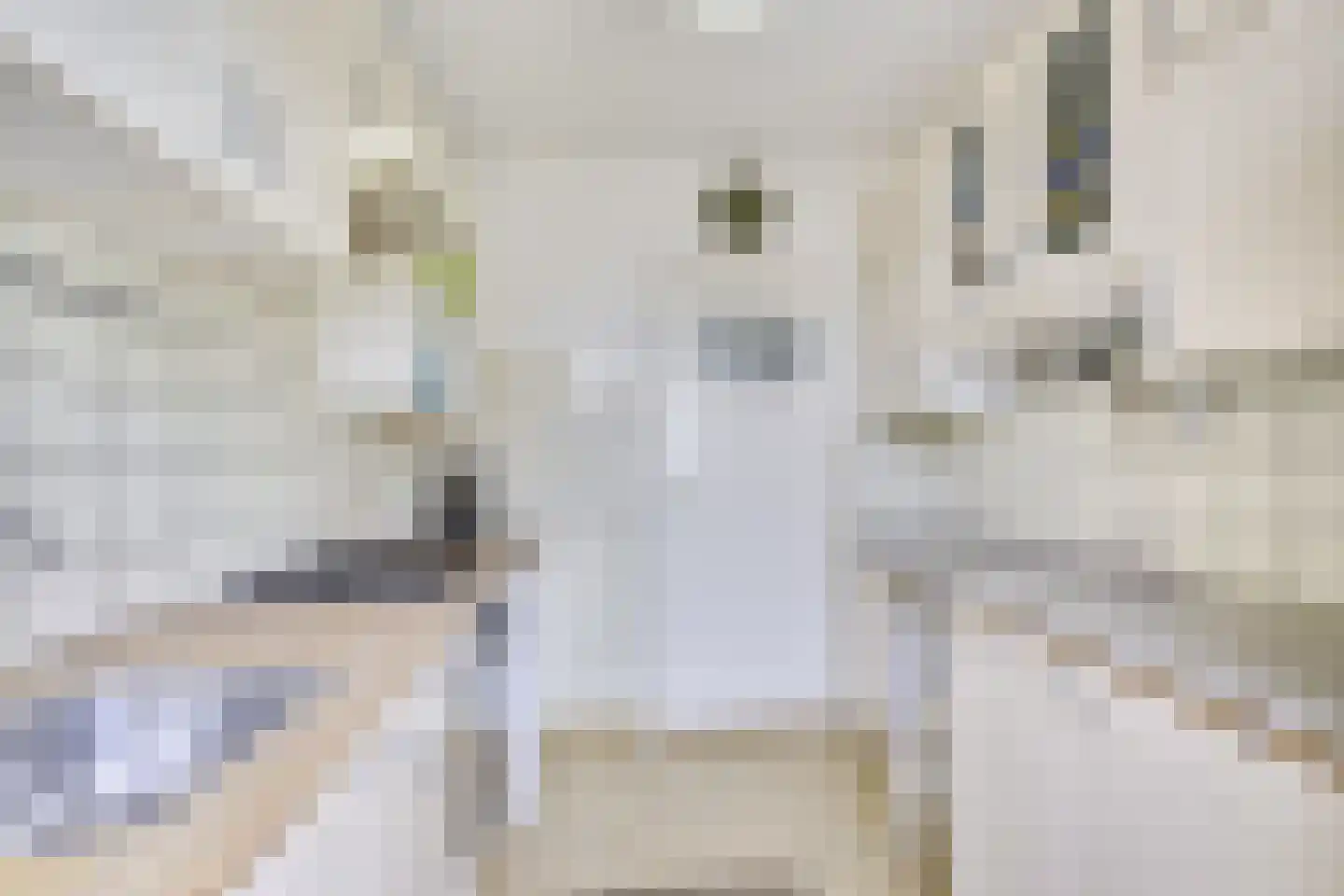 Prins Willem de Zwijgerlaan 2 Houten thumbnail 14