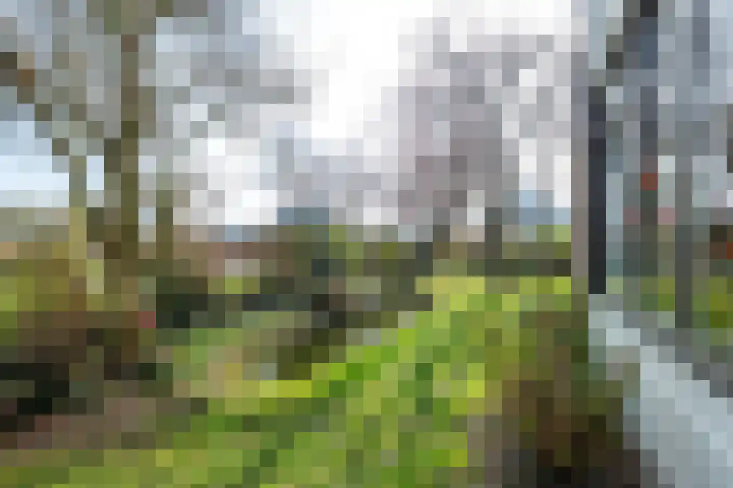 Prins Willem de Zwijgerlaan 2 Houten thumbnail 15