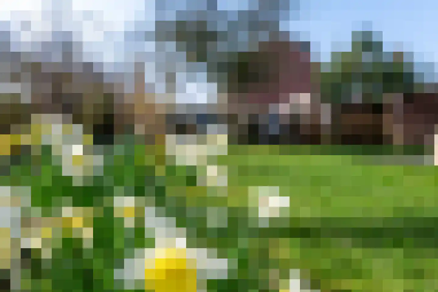 Prins Willem de Zwijgerlaan 2 Houten thumbnail 18