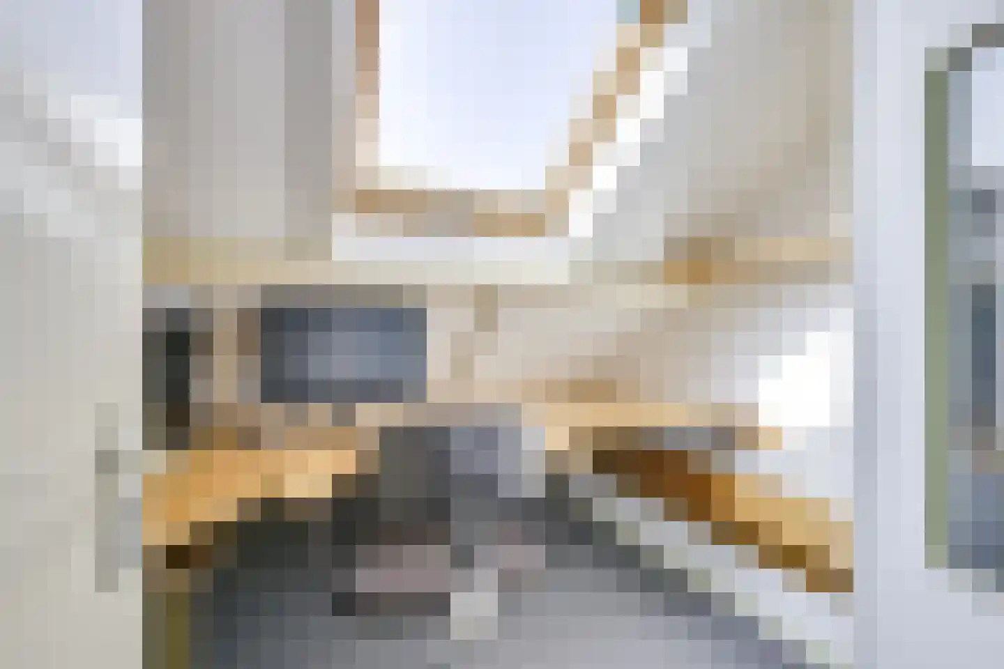 Prins Willem de Zwijgerlaan 2 Houten thumbnail 29