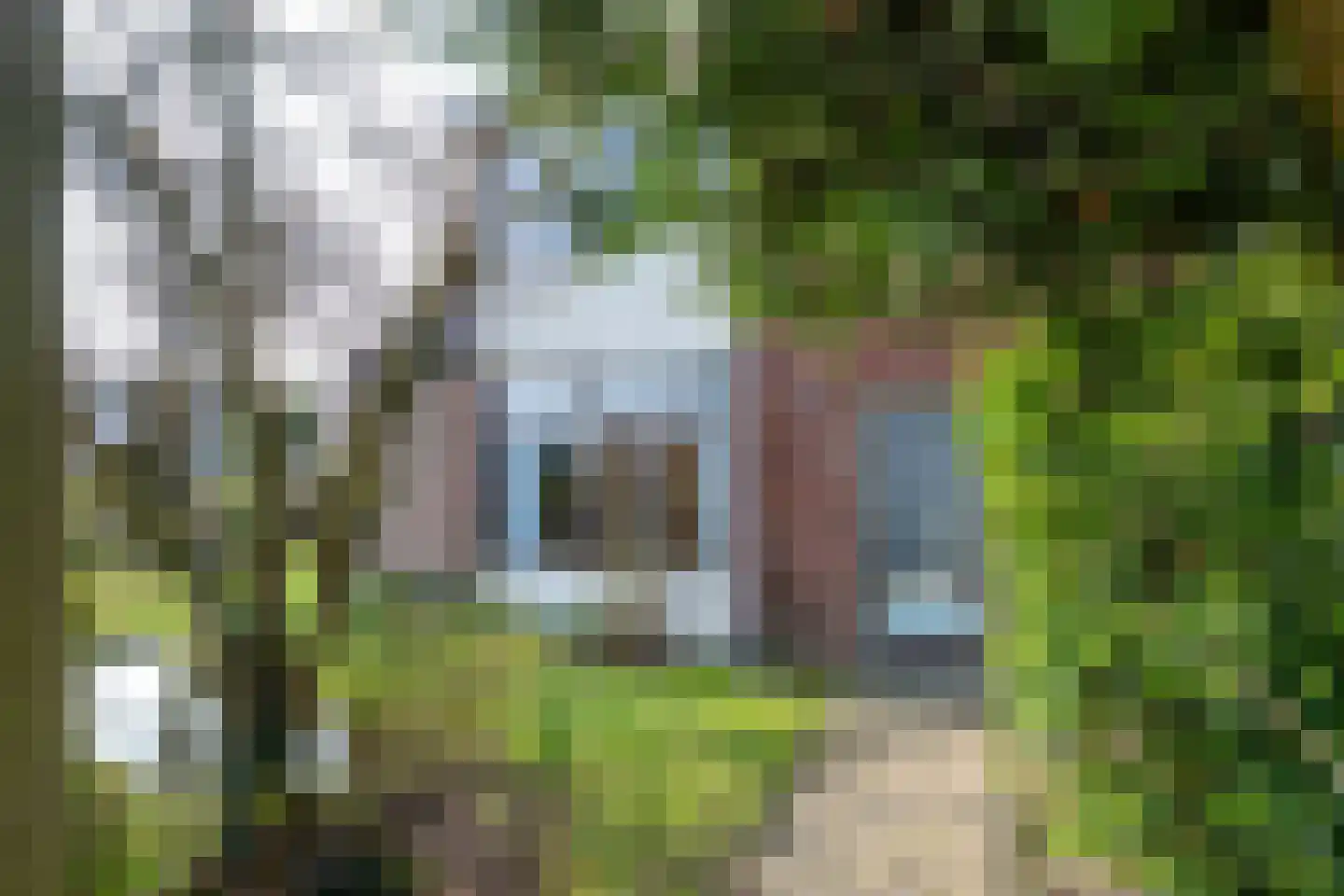 Prins Willem de Zwijgerlaan 2 Houten thumbnail 4