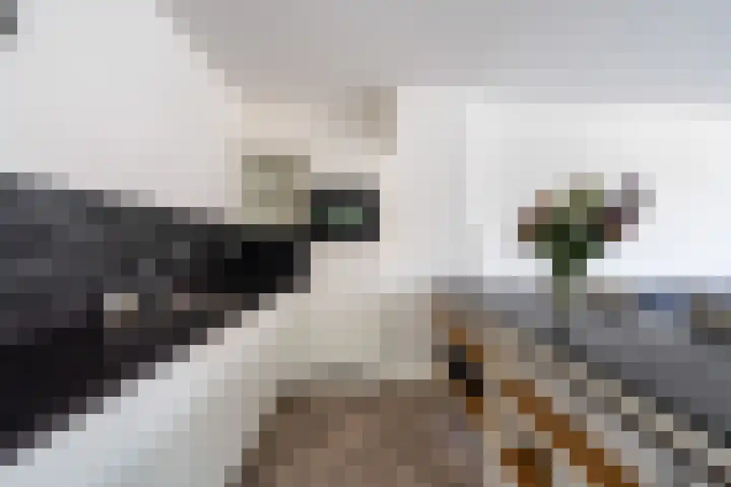 Prins Willem III-plein 16 Ter Heijde thumbnail 21