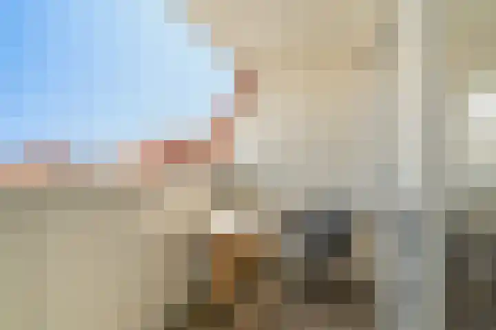 Prins Willem III-plein 24 Ter Heijde thumbnail 24